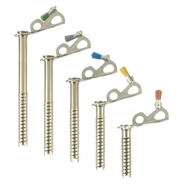 Black Diamond Express Ice Screw