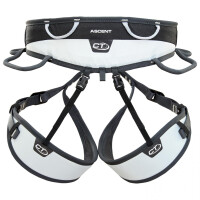 Climbing Technology ASCENT