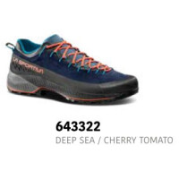 Deep Sea/Cherry Tomato